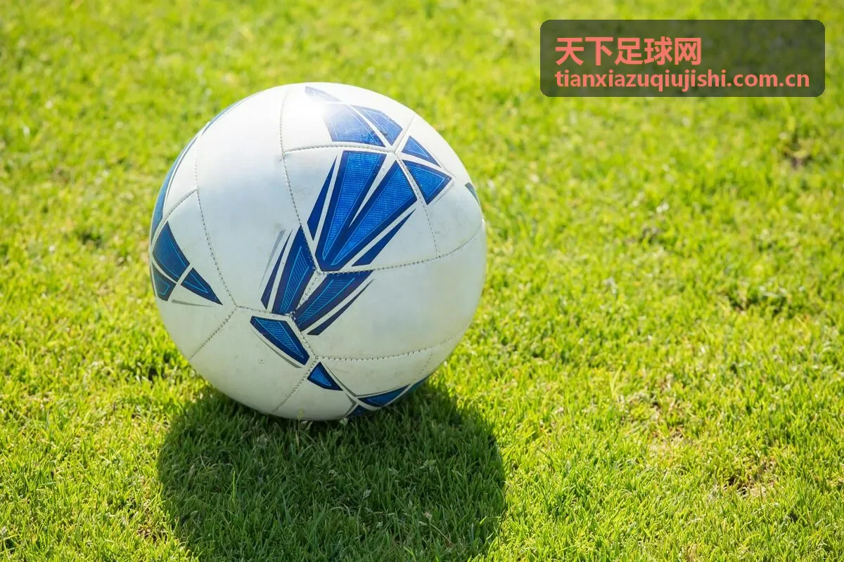 天下足球网法甲集锦视频